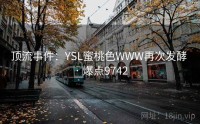 顶流事件：YSL蜜桃色WWW再次发酵 · 爆点9742