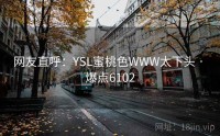 网友直呼：YSL蜜桃色WWW太下头 · 爆点6102