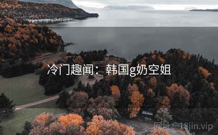 冷门趣闻：韩国g奶空姐