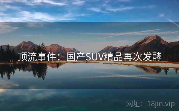 顶流事件:国产SUV精品再次发酵 顶流事件:国产SUV精品再次发酵